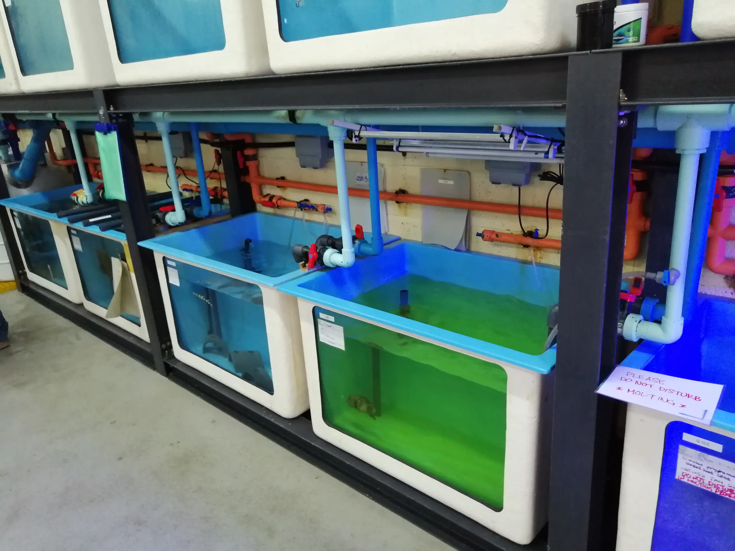 rectangular GRP aquaculture tanks with filtration piping system for fish farming