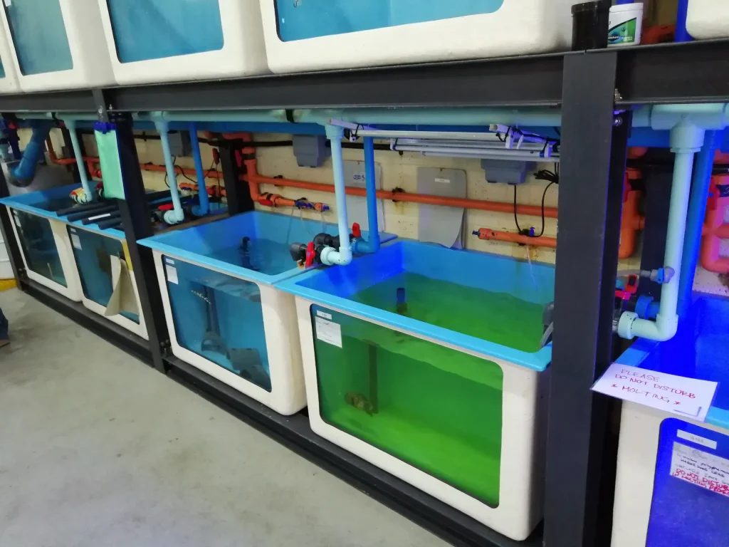 Large circular food-grade GRP fish farming tanks operating inside a commercial RAS aquaculture facility in Abu Dhabi, UAE.